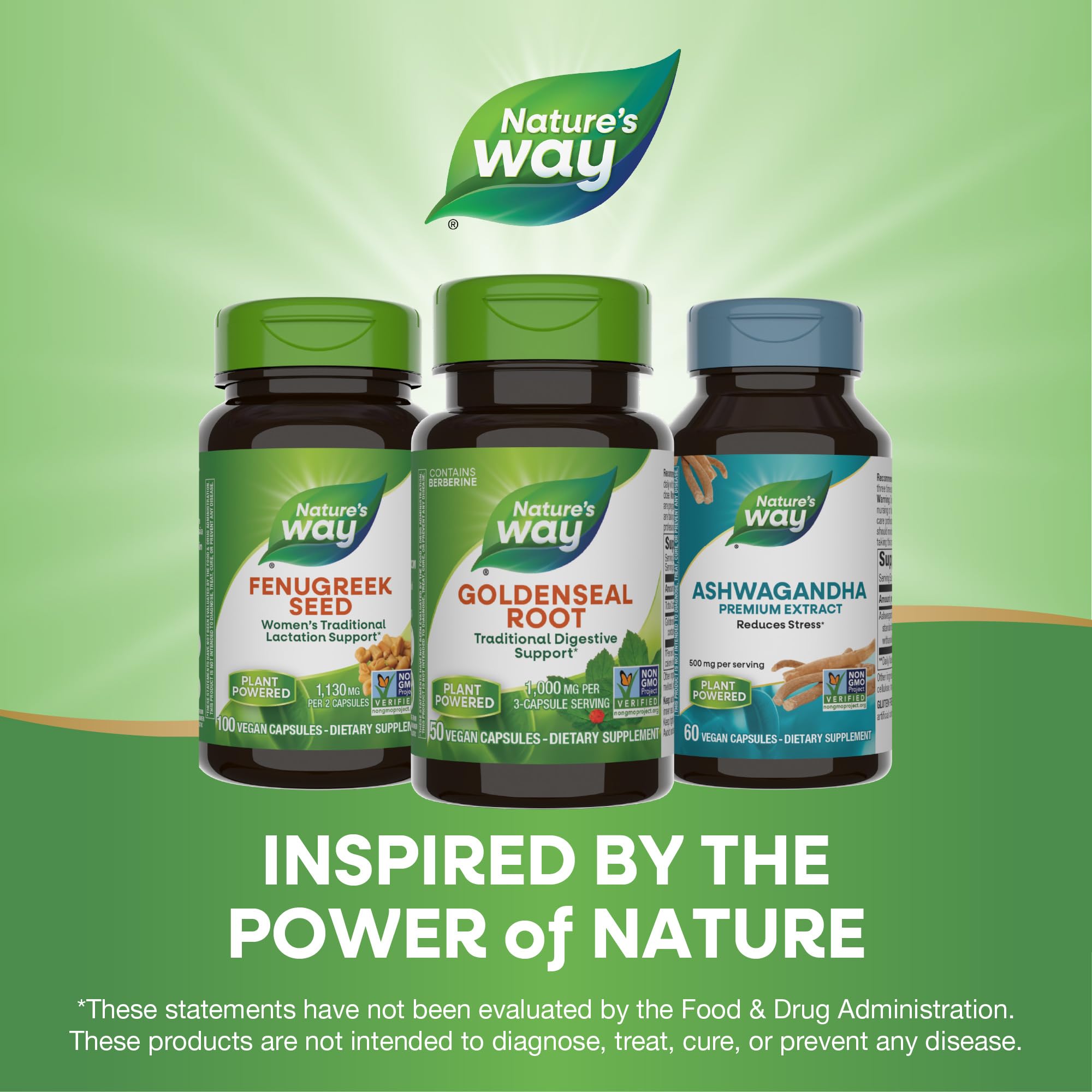Lifestyle image featuring natural wellness and herbs