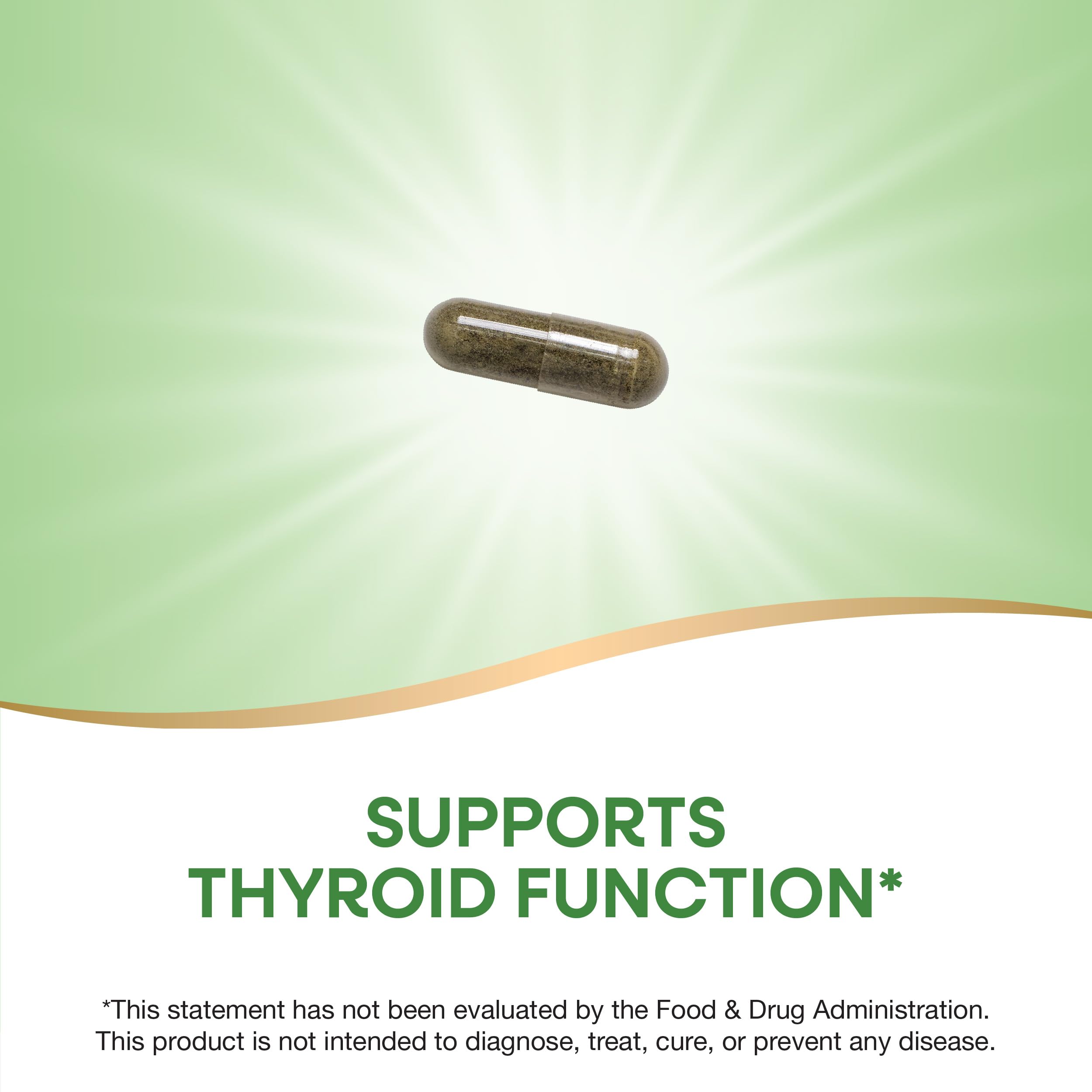 Label showing iodine content on Nature's Way Kelp bottle