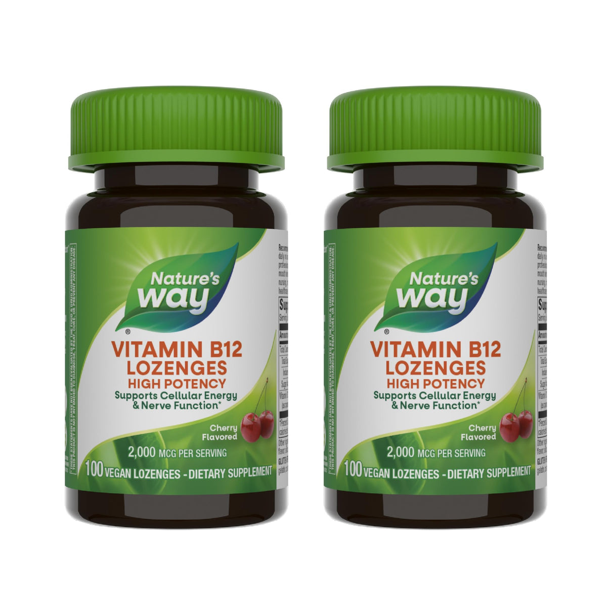 Nature's Way Vitamin B12 Lozenge 2-pack box – front view