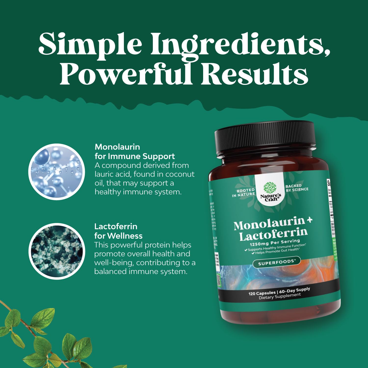 Ingredients and supplement facts panel detail