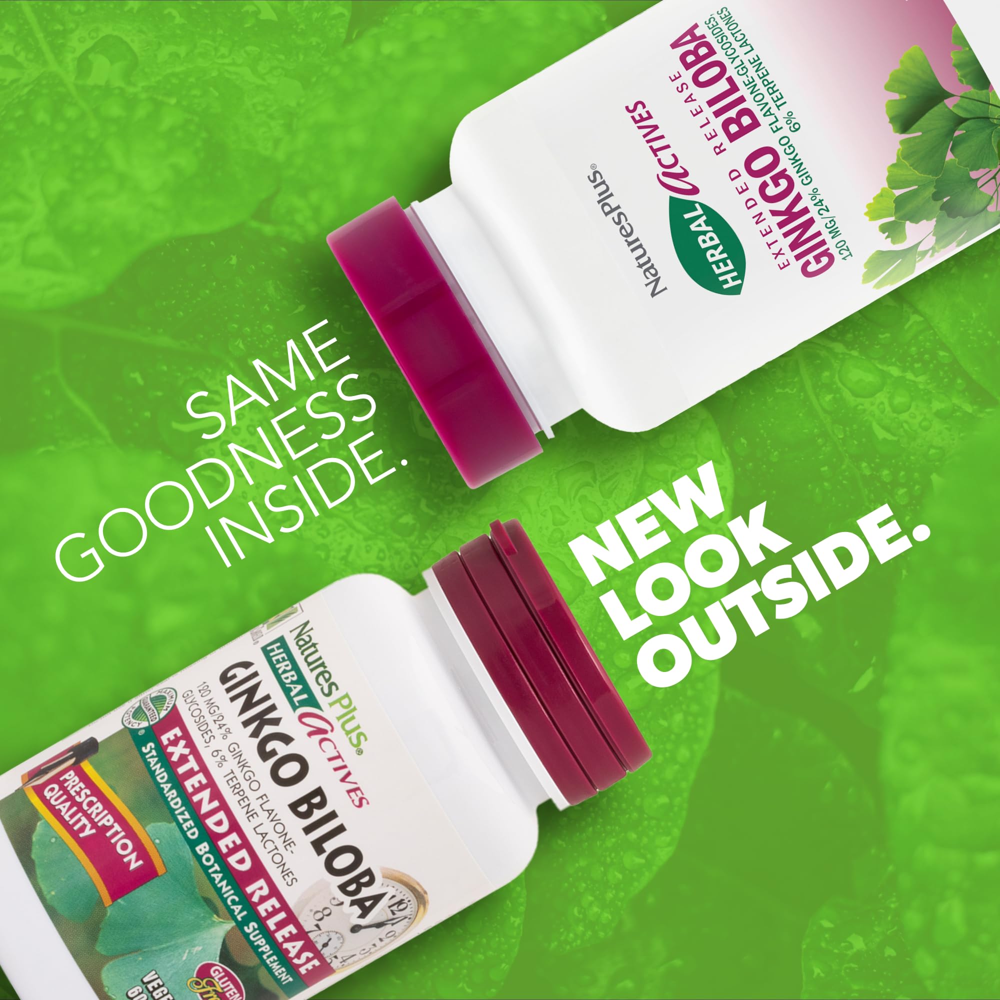 Ginkgo Biloba leaf extract capsules close-up