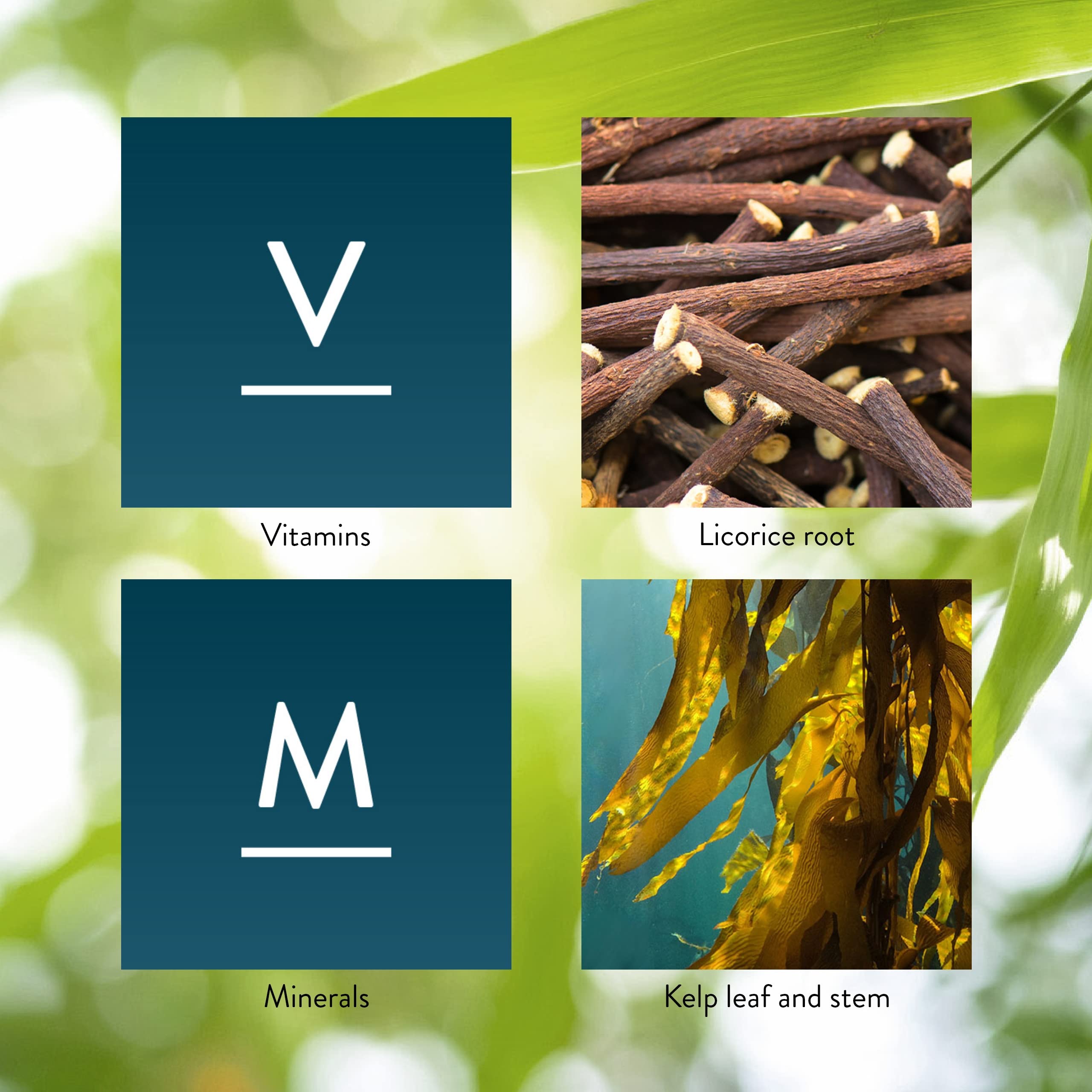 Vitamins and minerals icons representing essential nutrients