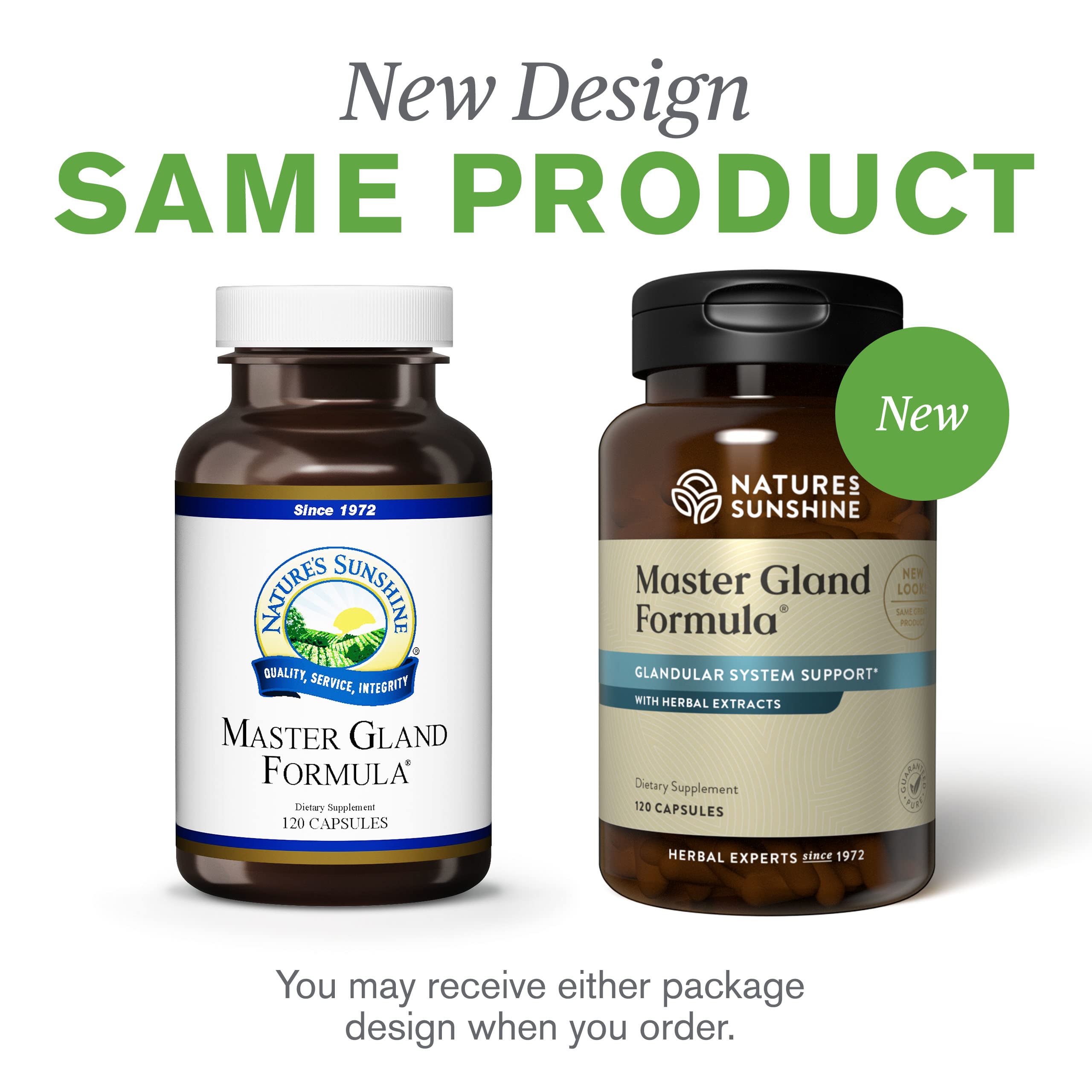 Lifestyle shot showing daily supplement routine with Master Gland