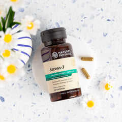 Nervous system support concept with herbal capsules