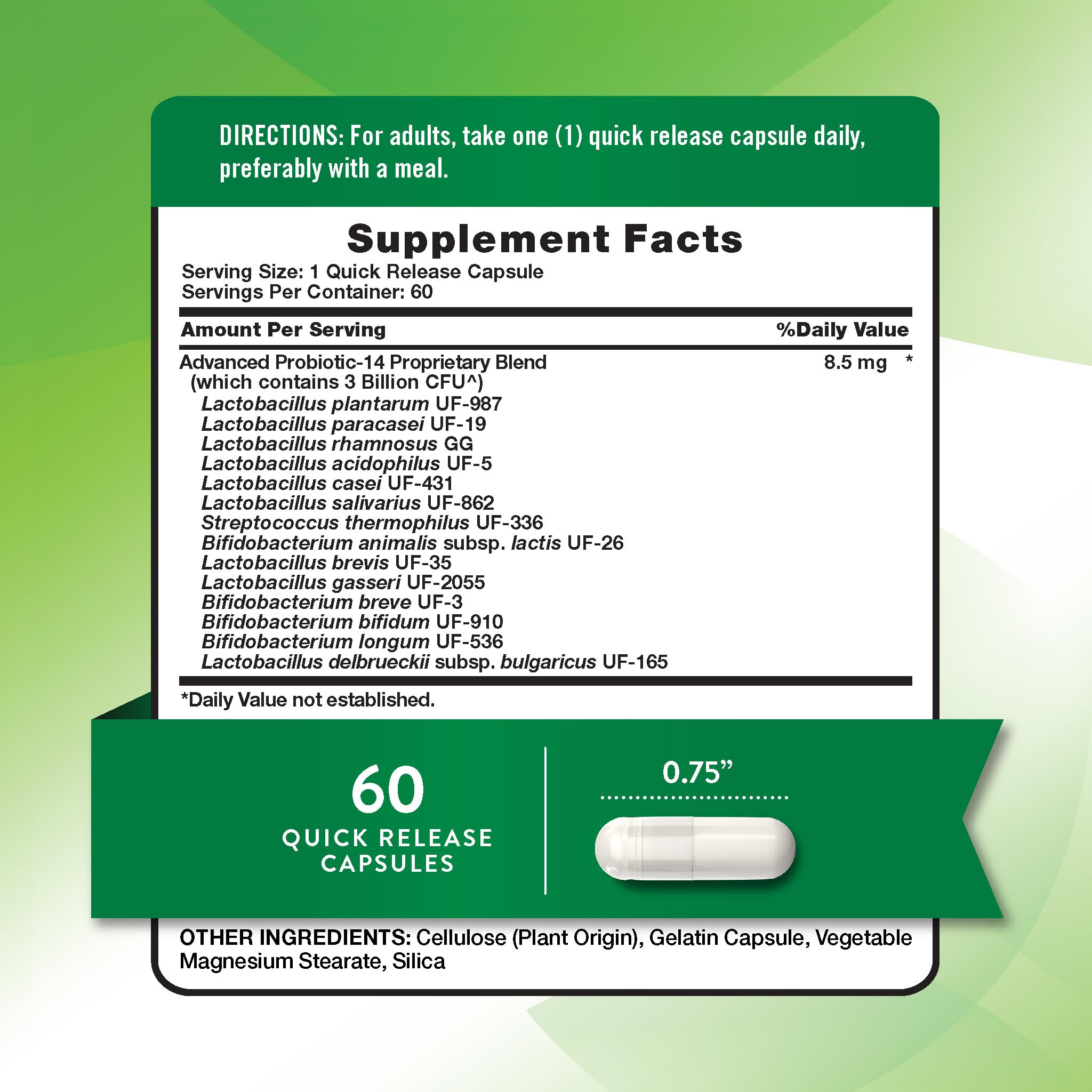 Close-up of a single probiotic capsule