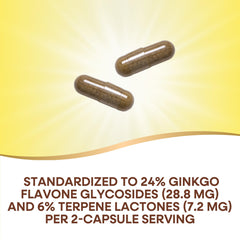 Ingredient panel showing 24% flavone glycosides and 6% terpene lactones
