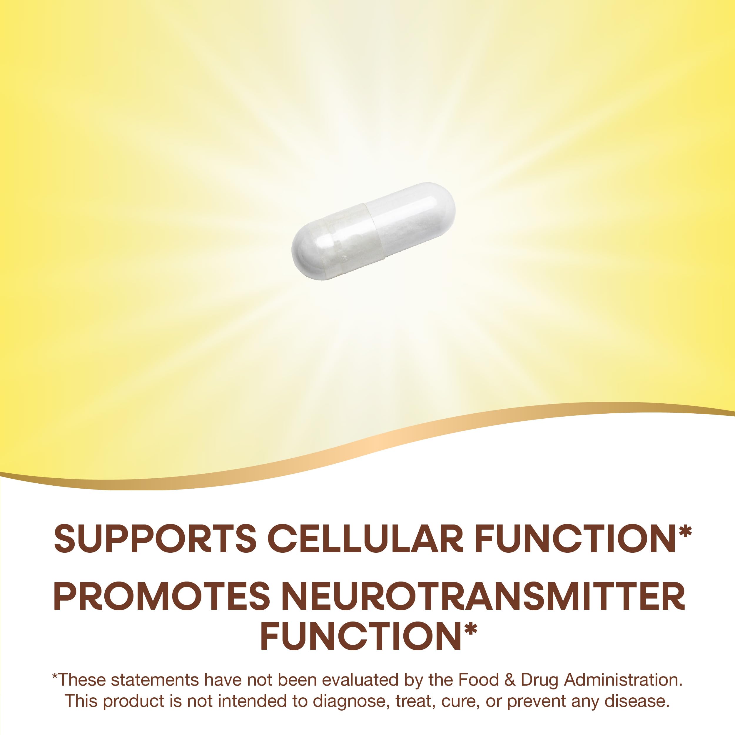 Graphic highlighting inositol supports neurotransmitter function