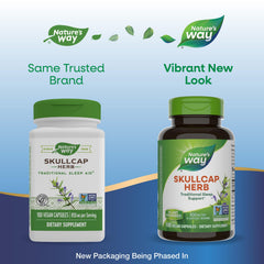 Skullcap herb capsules inside bottle