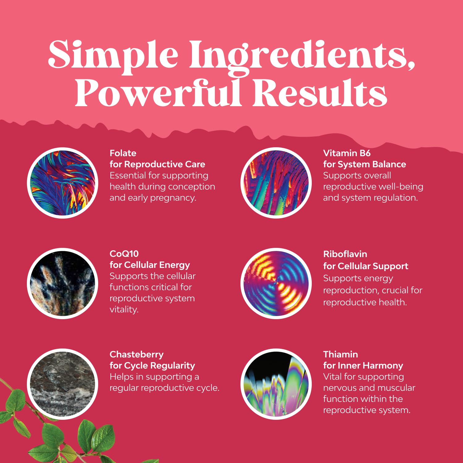 Natures Craft capsules in hand demonstrating size and portion for accurate dosing
