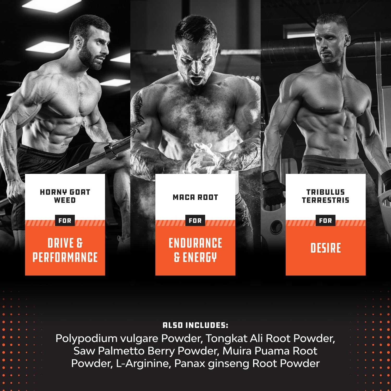 Nature's Craft label closeup emphasizing quality promise for reliable daily performance