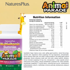 Assorted cherry, grape, and orange bear-shaped gummies