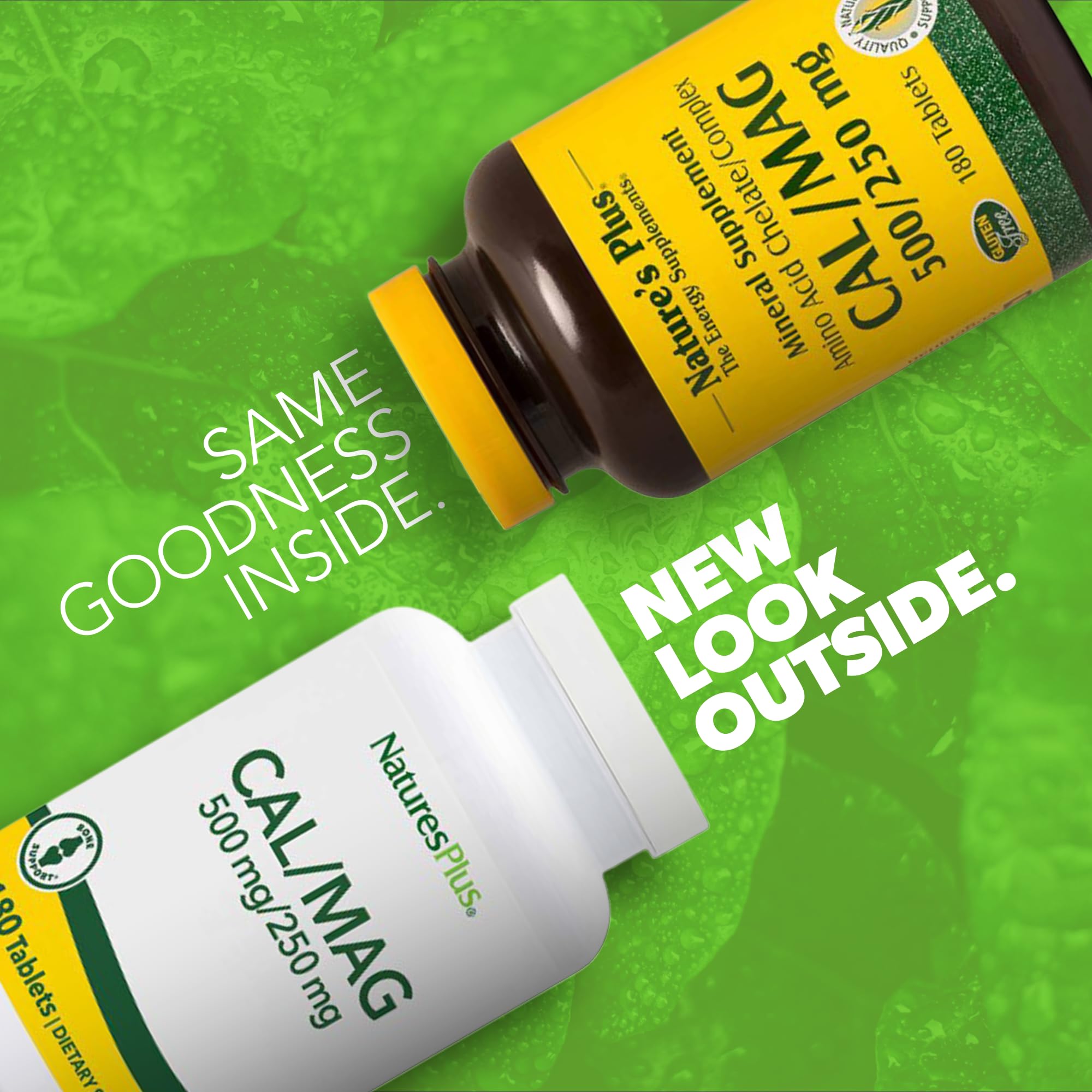 Close-up of supplement facts showing 500 mg Calcium and 250 mg Magnesium