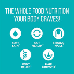 Graphic showing six collagen types I II III IV V X