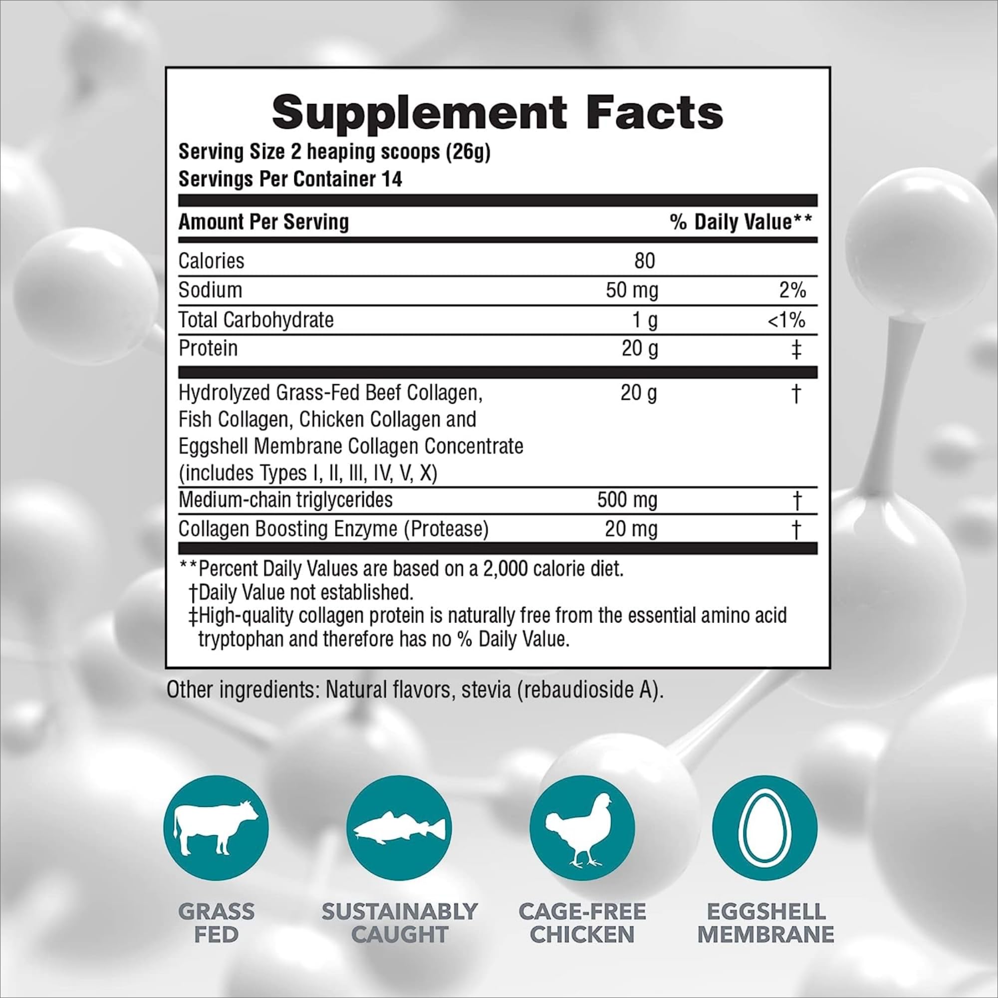 Product shot of Nature's Plus Collagen Peptides Vanilla 2-pack