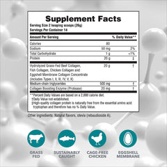 Product shot of Nature's Plus Collagen Peptides Vanilla 2-pack