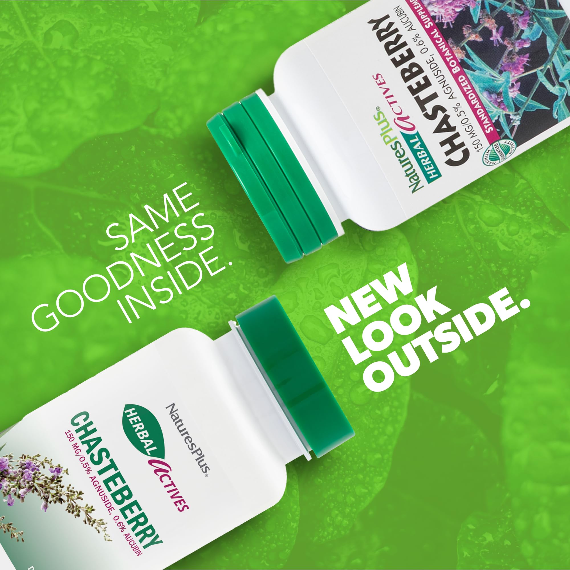 Bottle of NaturesPlus Herbal Actives Chasteberry 60 capsules