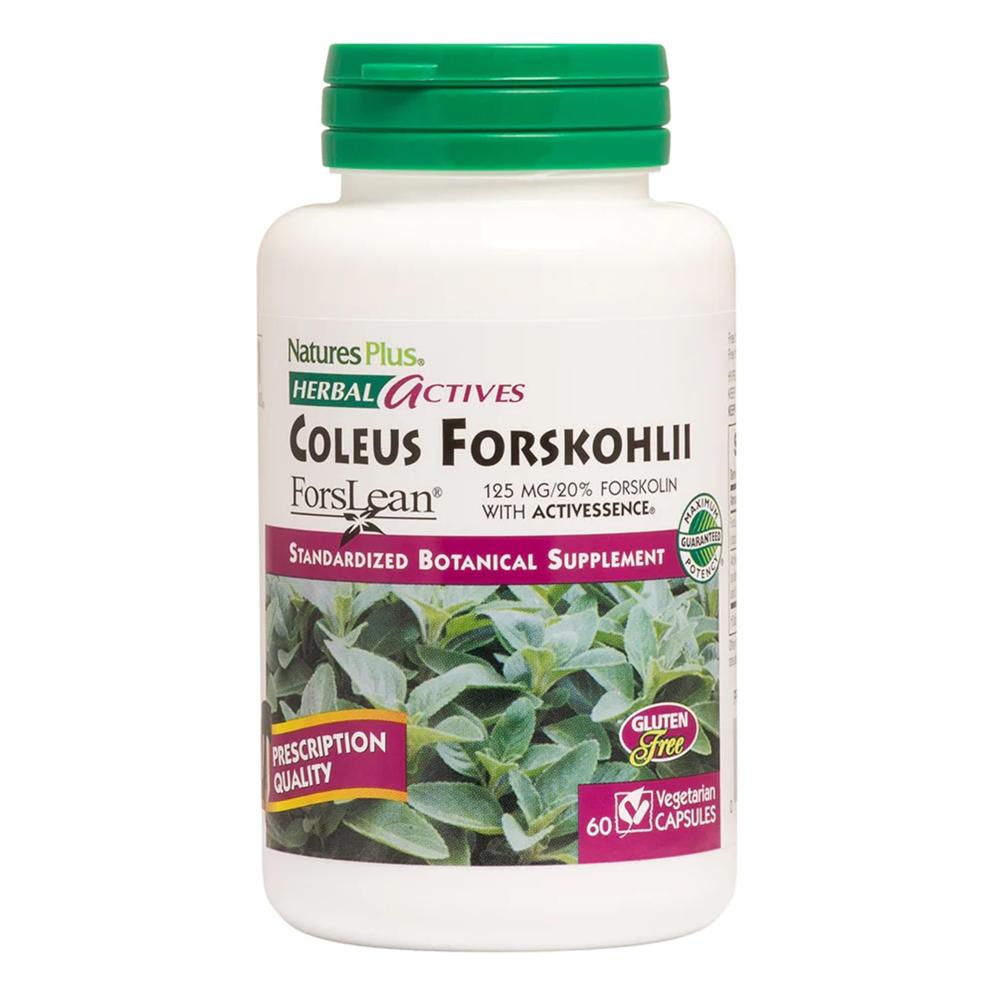NaturesPlus Herbal Actives Coleus Forskohlii bottle and label