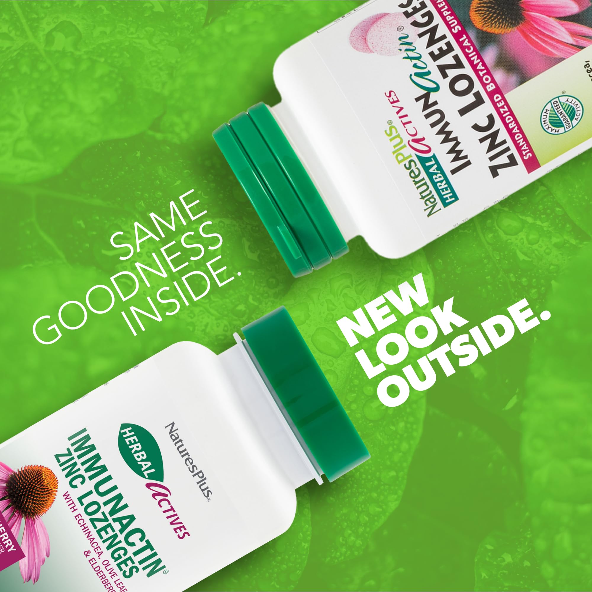 Pack of 2 ImmunActin zinc lozenges for immune support – 120 servings total