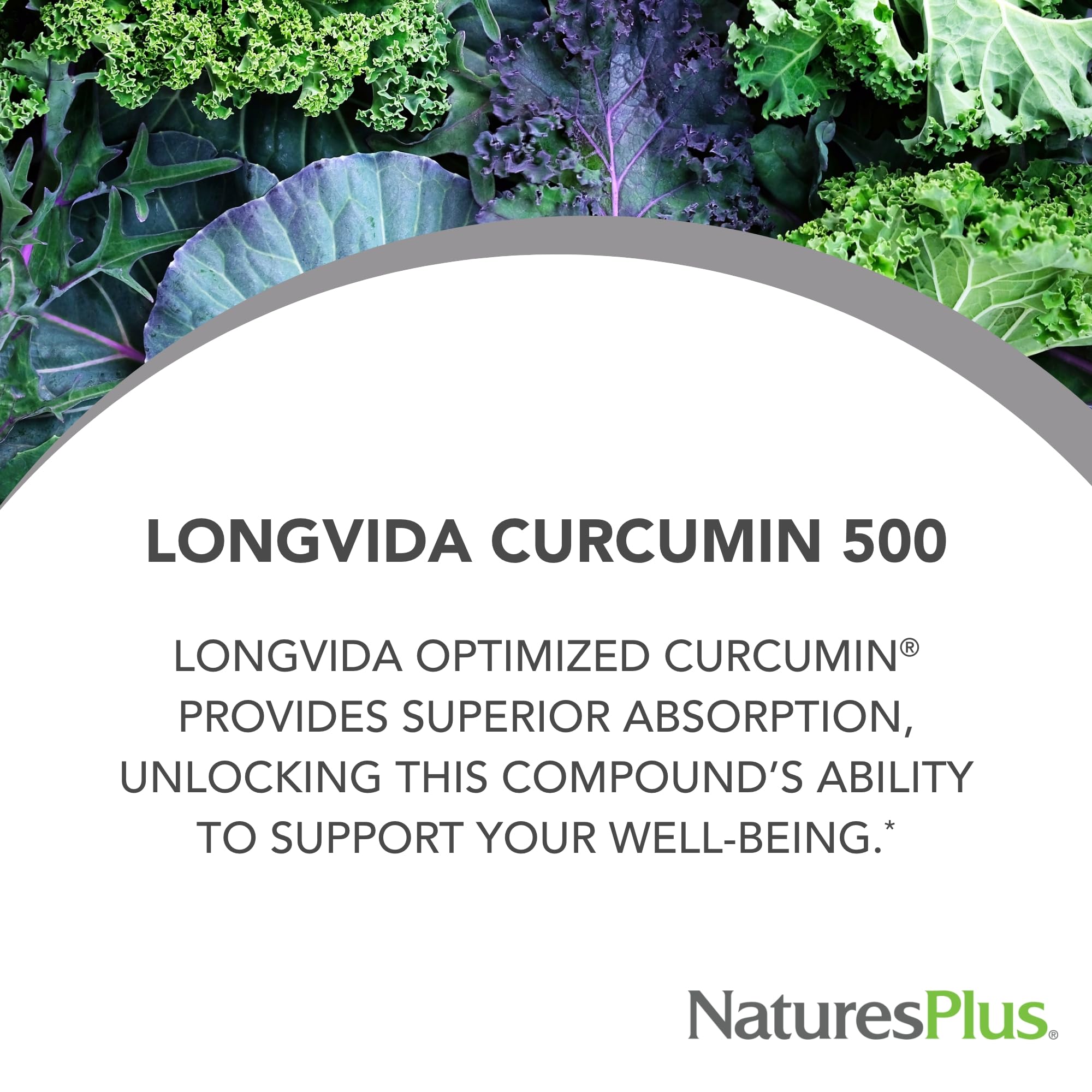 NaturesPlus PRO Longvida Curcumin 500 mg bottle with packaging – pack shot