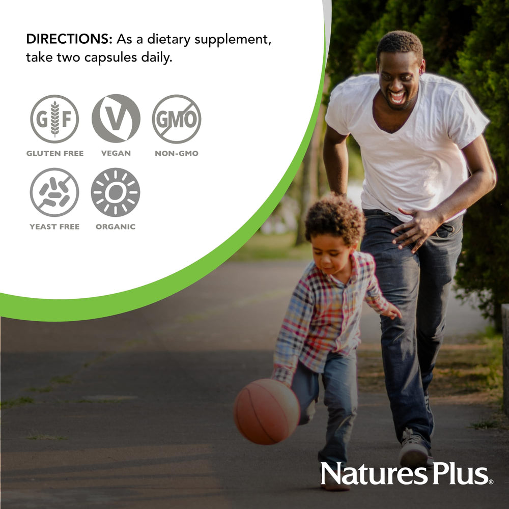 Whole-food blend ingredients including blueberry, spinach and kale