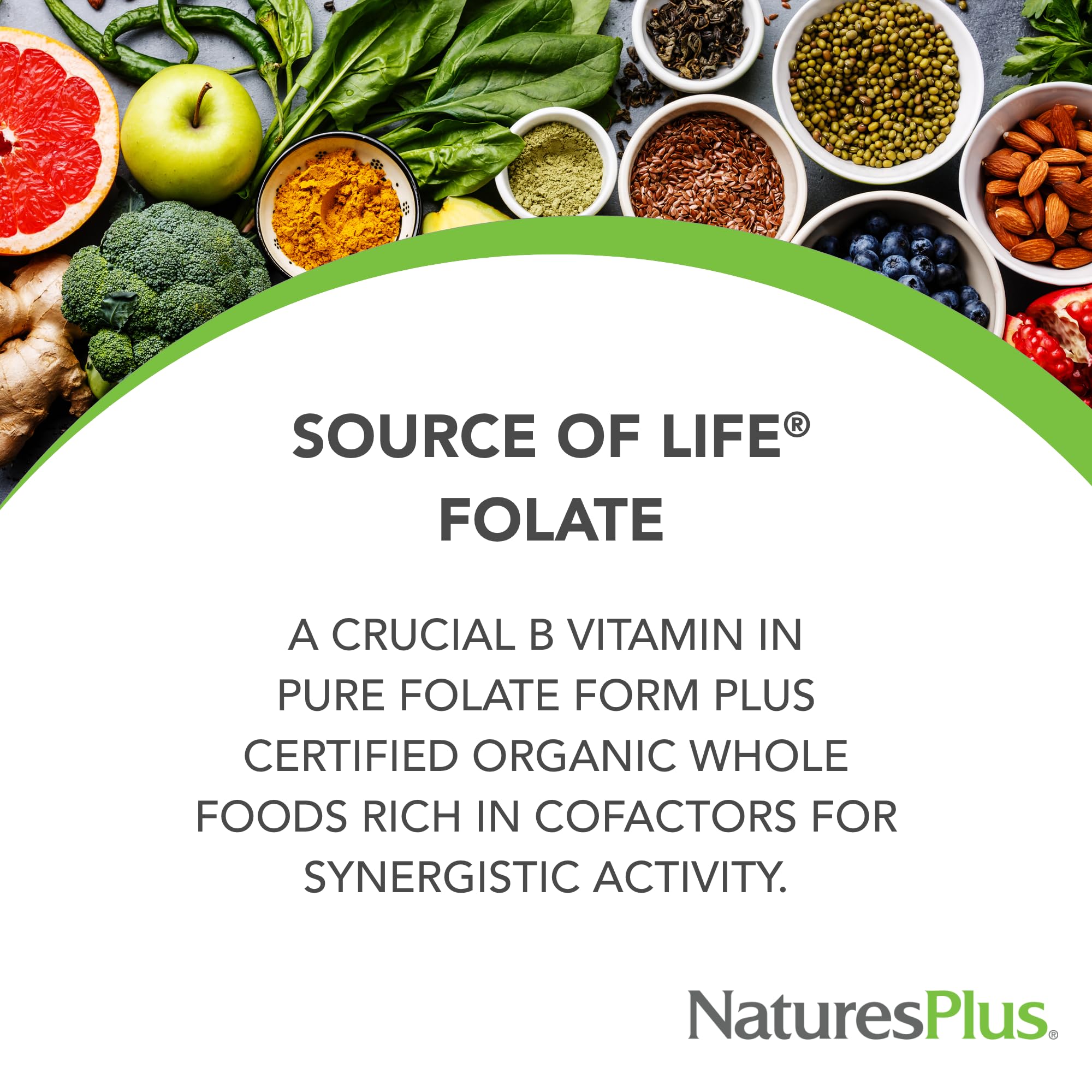Close-up of Source of Life Garden Folate label highlighting 400 mcg folate