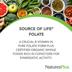 Organic folate capsules (400 mcg) from lemon peel