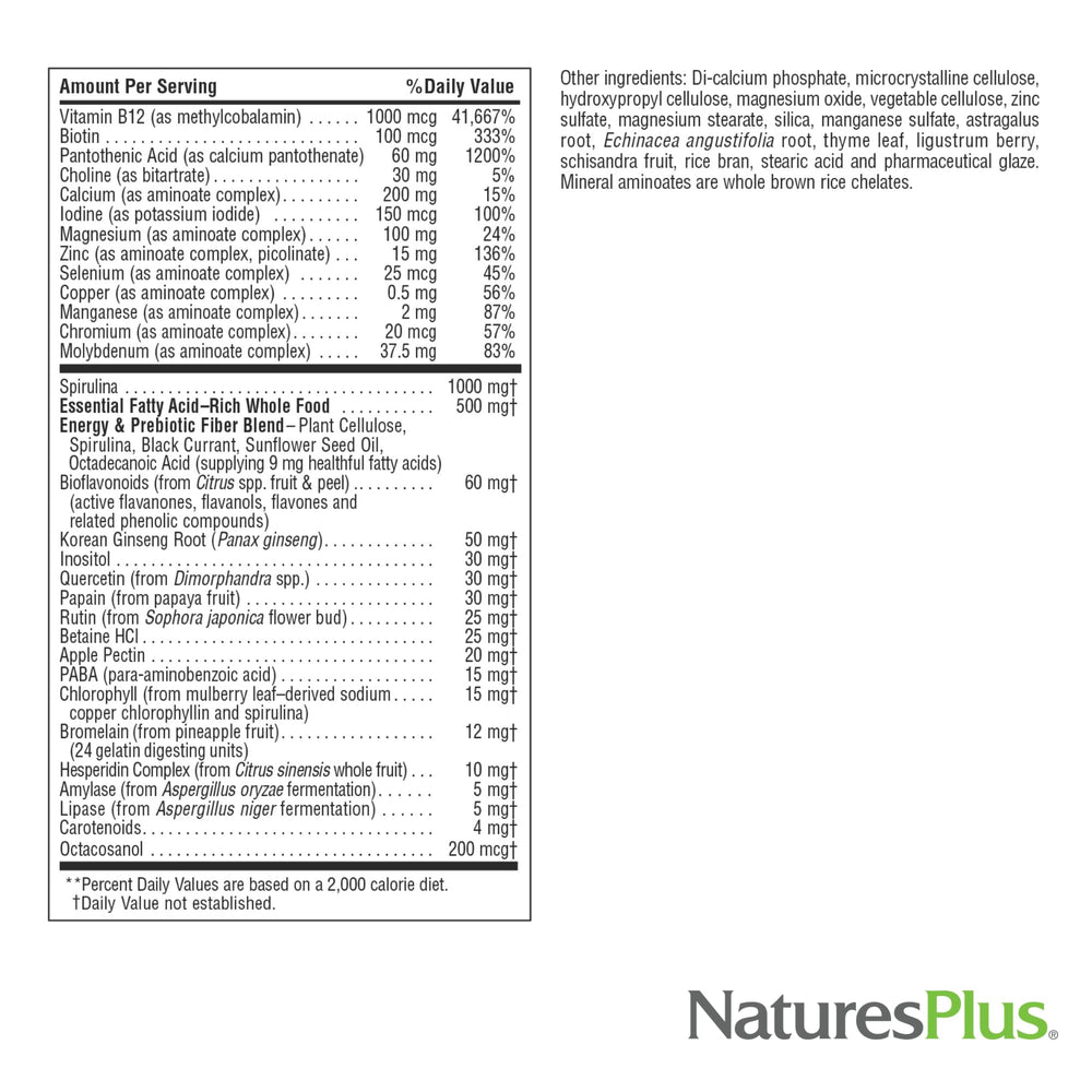 Vitamin and mineral ingredients illustration