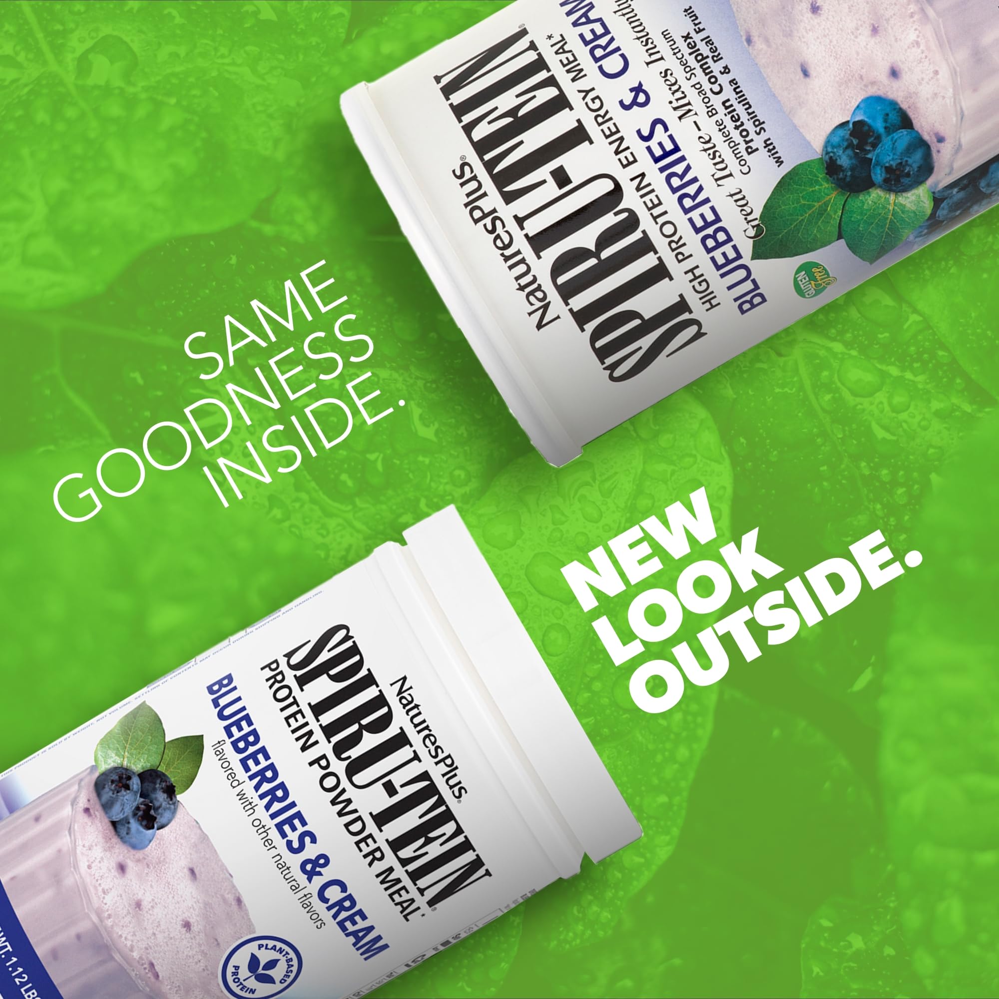 NaturesPlus SPIRU-TEIN Blueberries and Cream powder whisked in a bowl for smooth mix