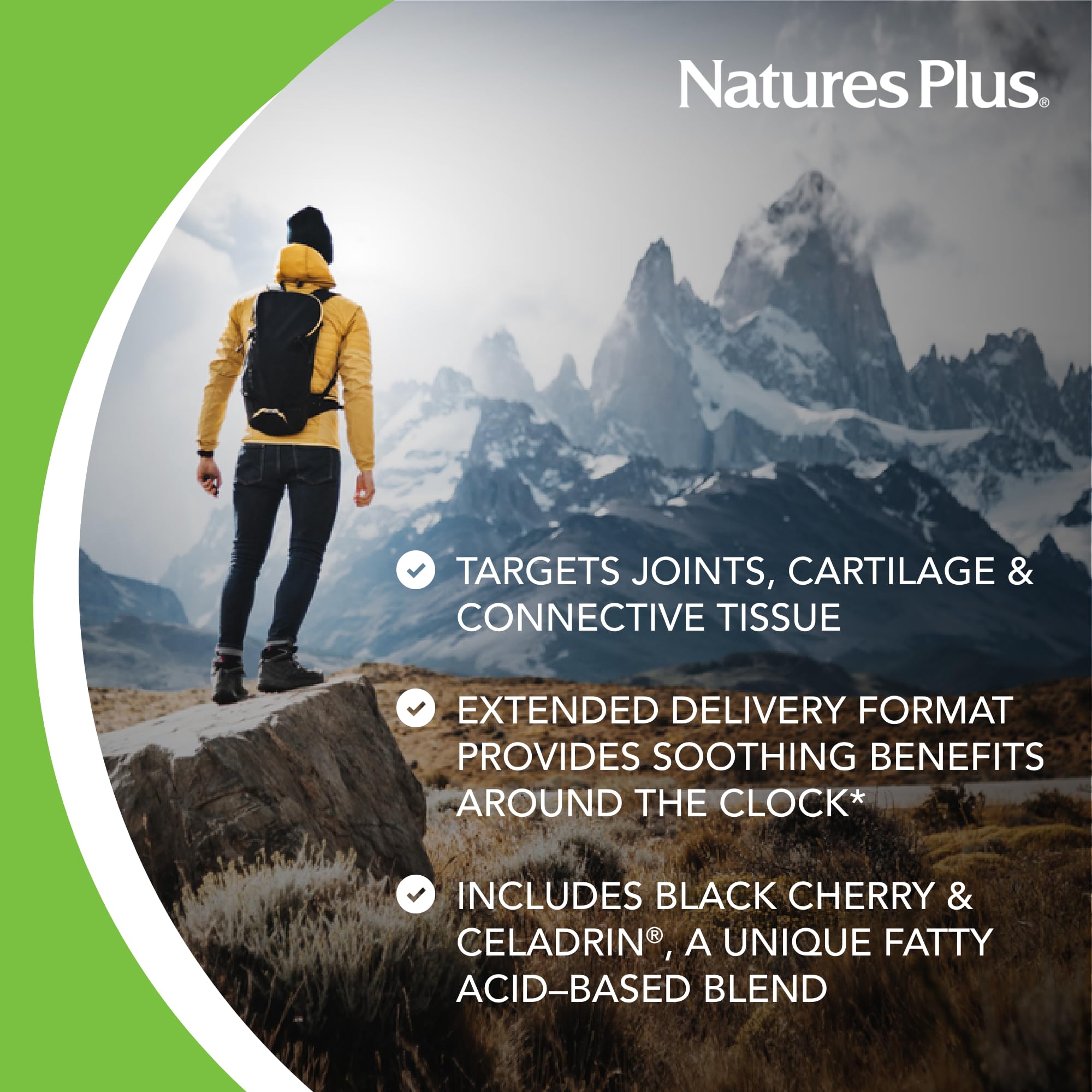 Supplement facts panel highlighting glucosamine, chondroitin and MSM