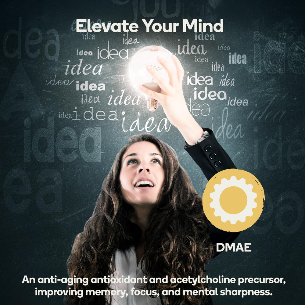 DMAE ingredient detail