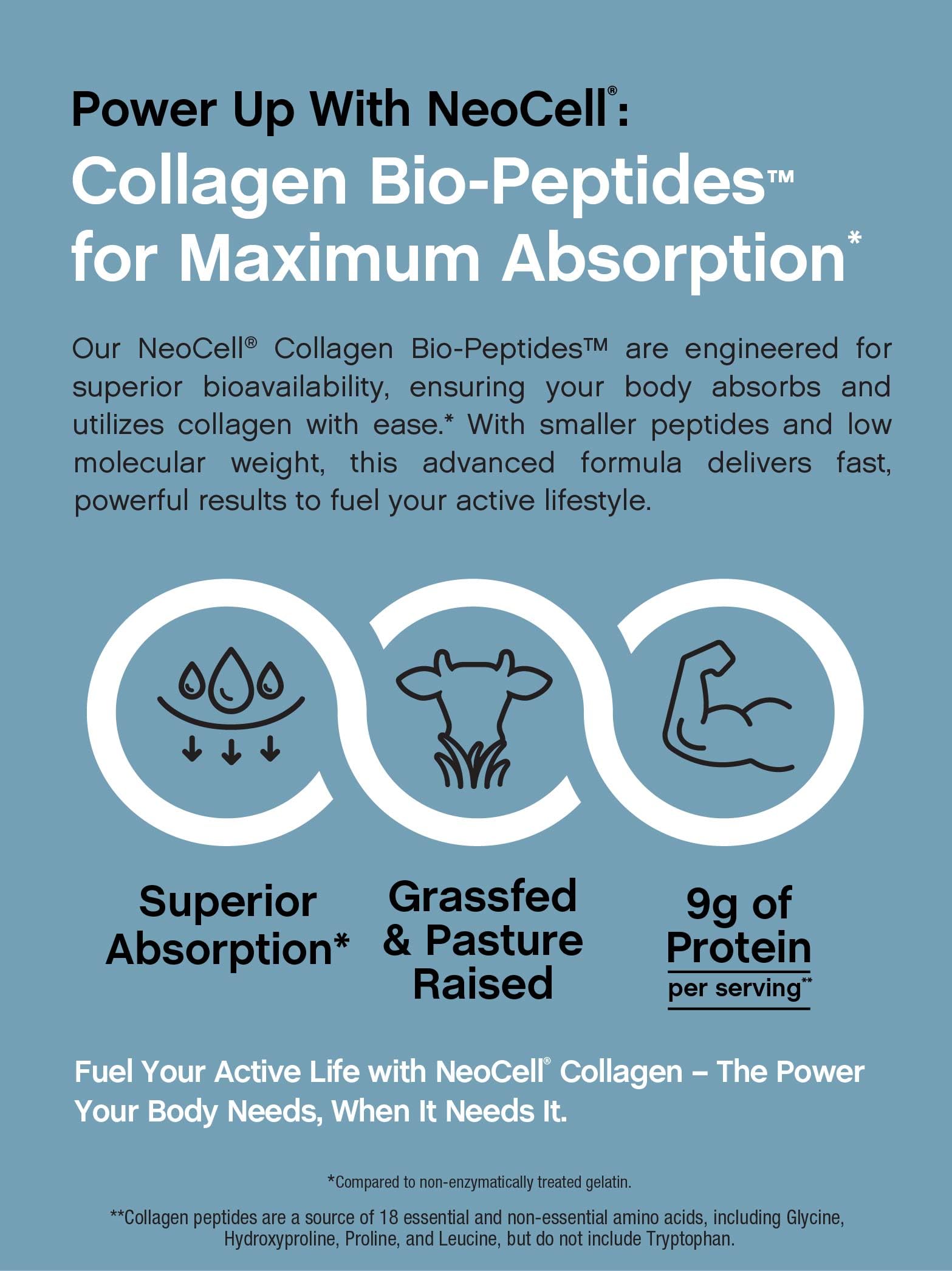 Keto-friendly and Kosher symbols on NeoCell collagen packaging