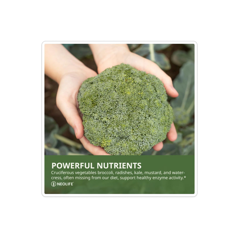 Person taking one NeoLife Cruciferous Plus tablet with water