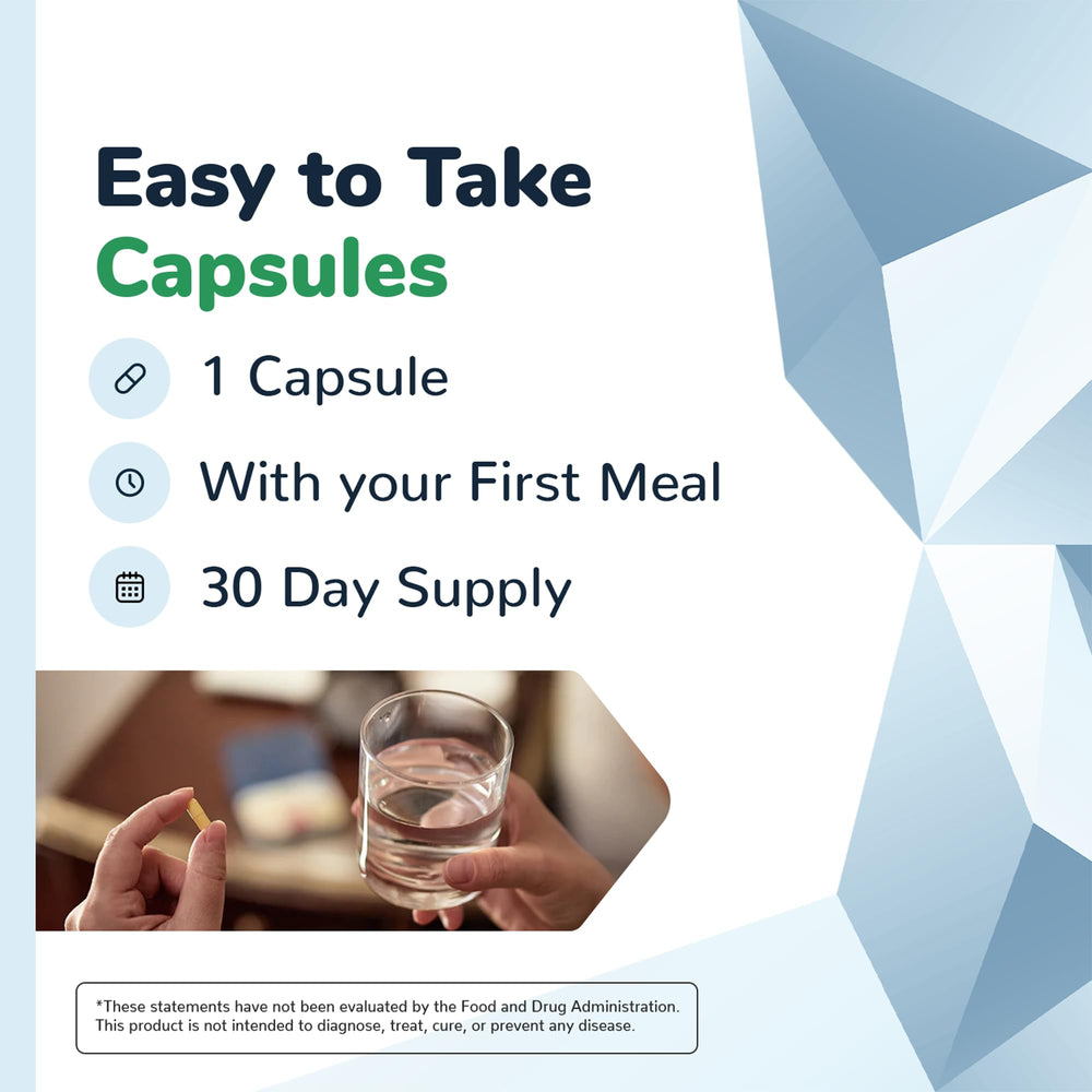 Illustration of circulation and energy support from Nervala