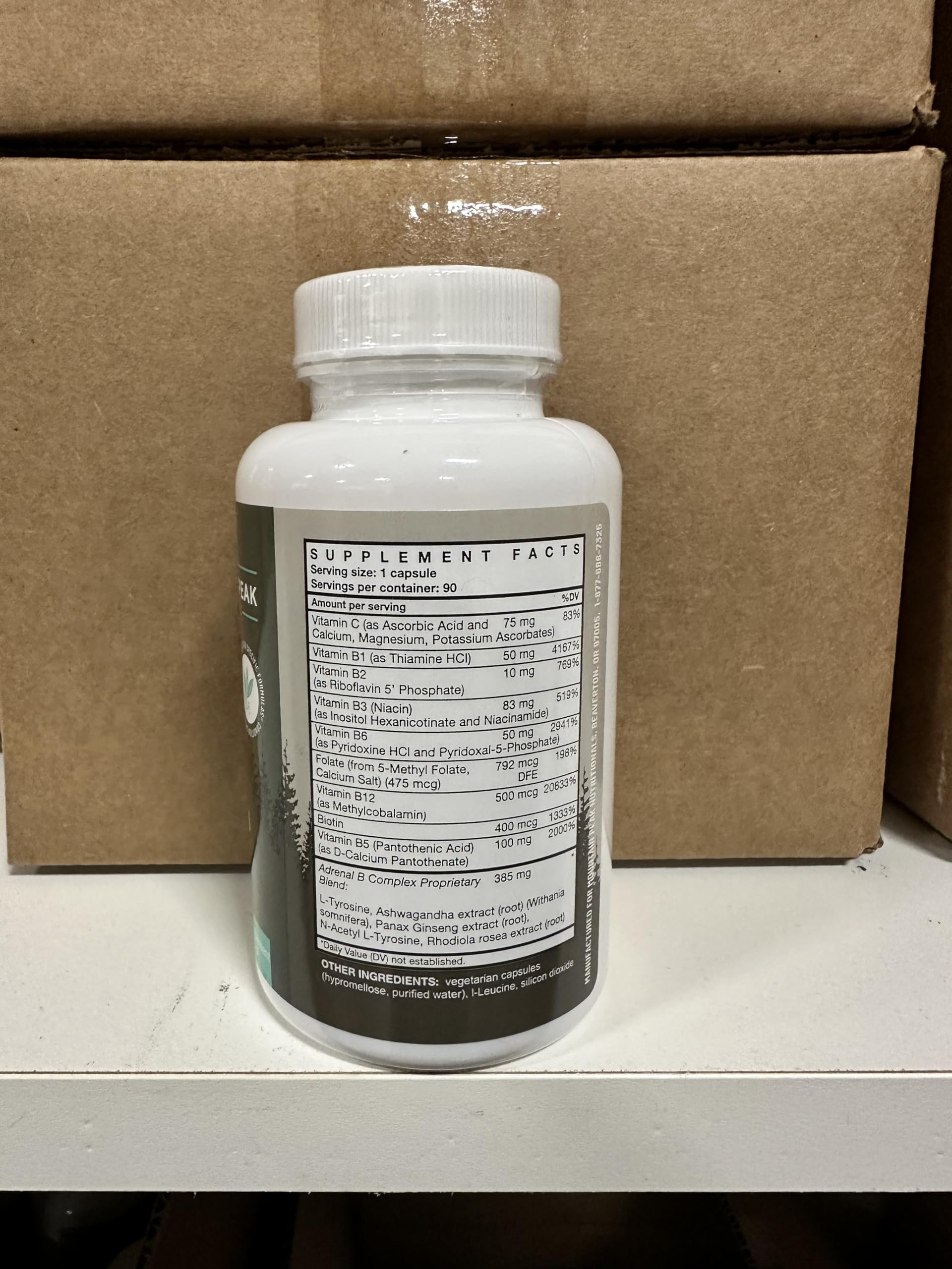 Nervous system support illustration