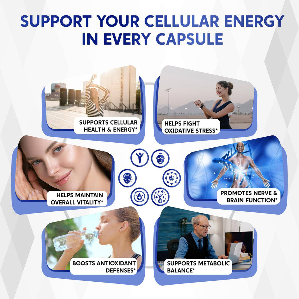 Nessarit Alpha Lipoic Acid supplement facts panel