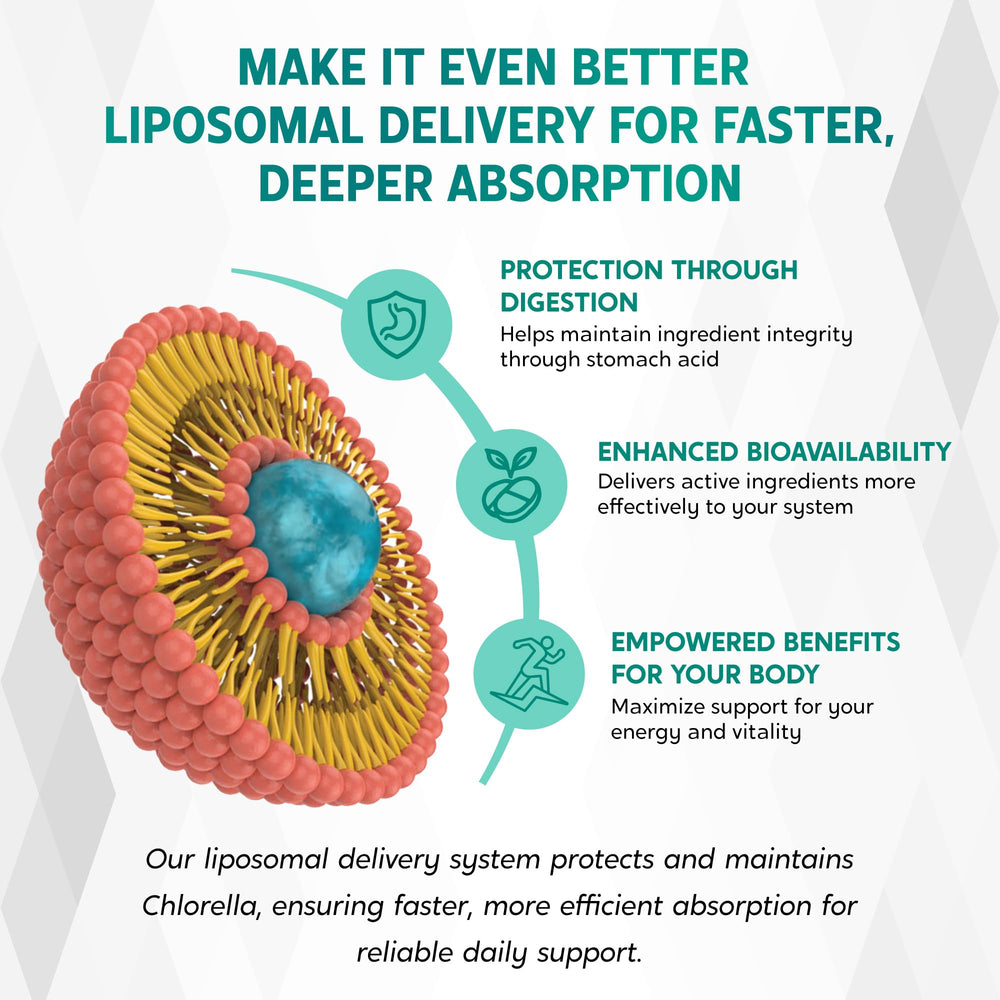 Artwork illustrating liposomal delivery technology