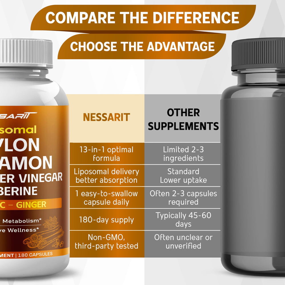 Metabolism support graphic showing energy and digestion