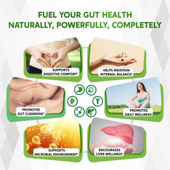 10-in-1 herbal blend ingredients visual