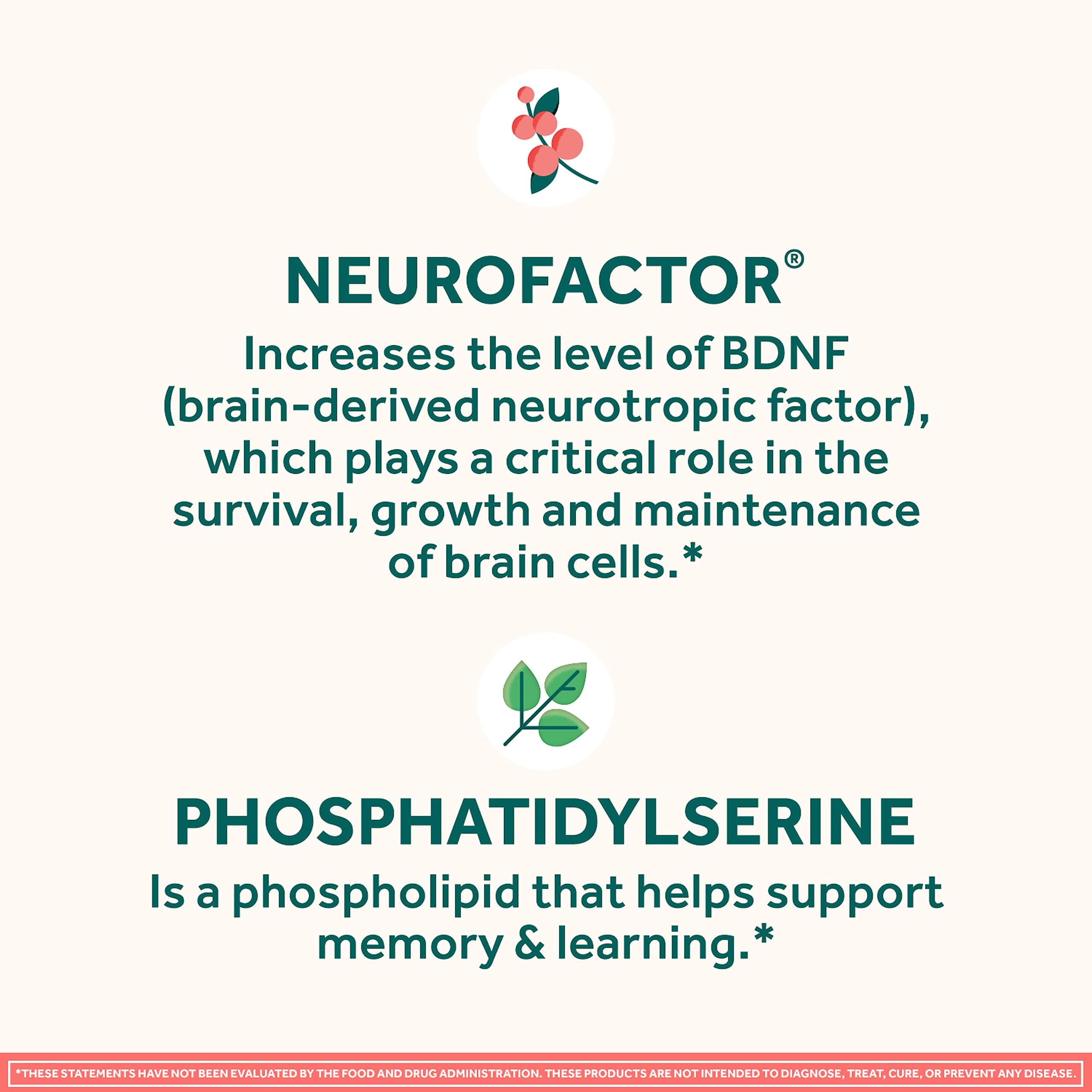NEURIVA Original bottle pour detail during routine study.