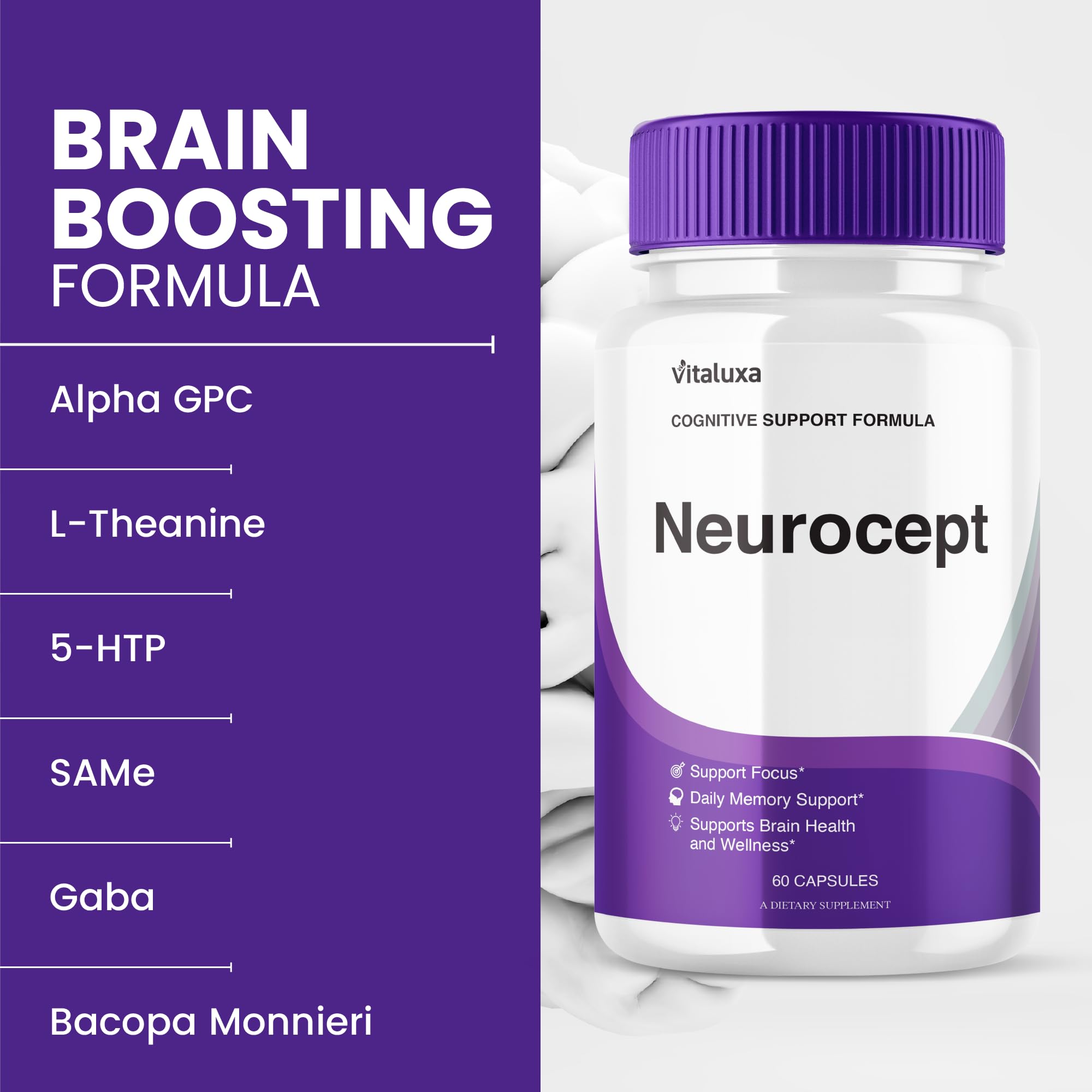 Close-up of Neuro Cept premium blend ingredients