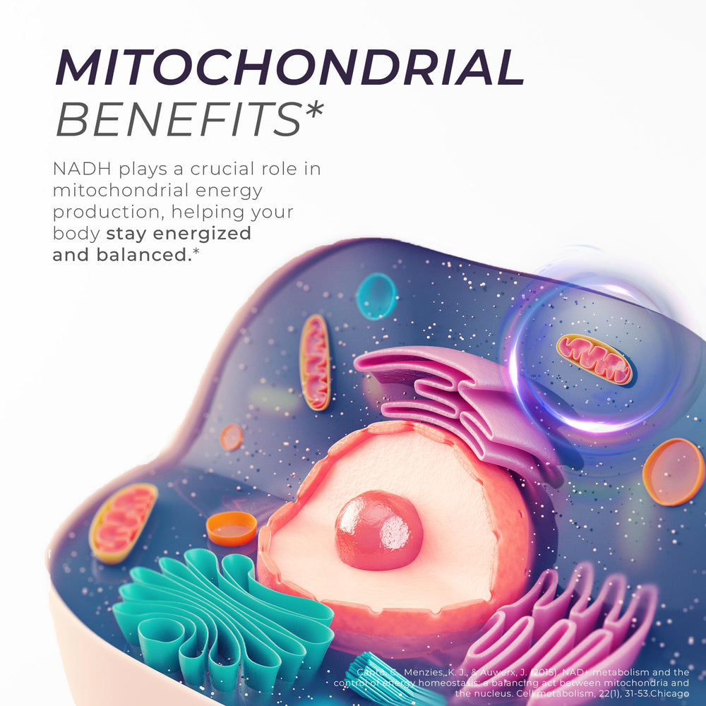 Neurogan NADH lab-tested seal communicates verified potency and safety.
