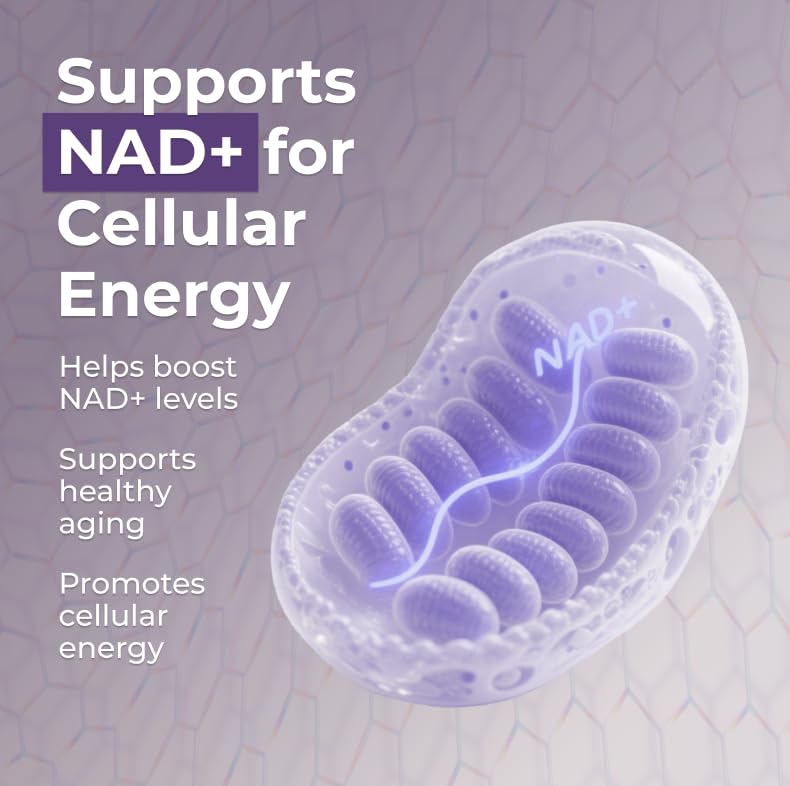 Brain health and memory focus concept with NMN capsules