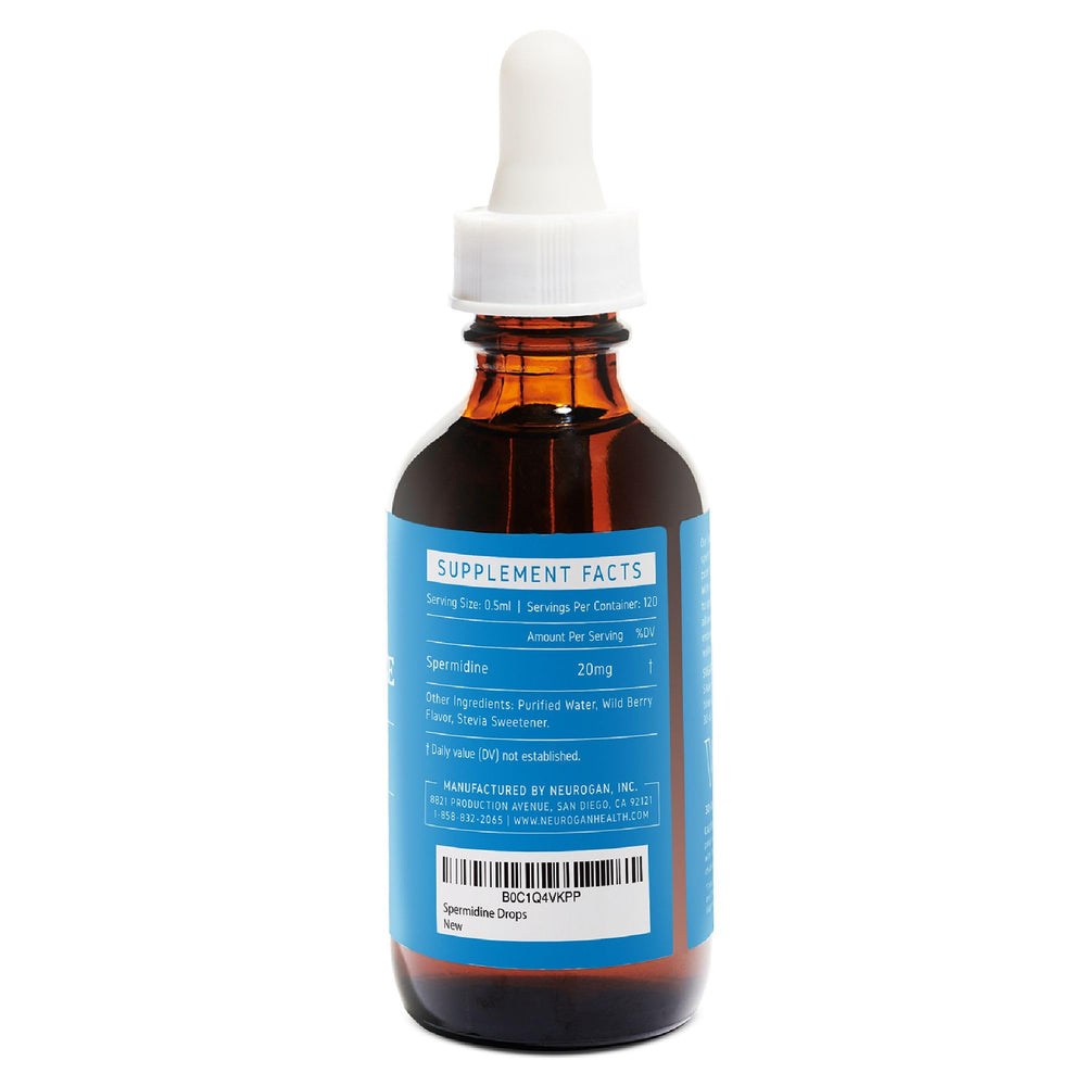 Autophagy support and cellular health with Spermidine liquid