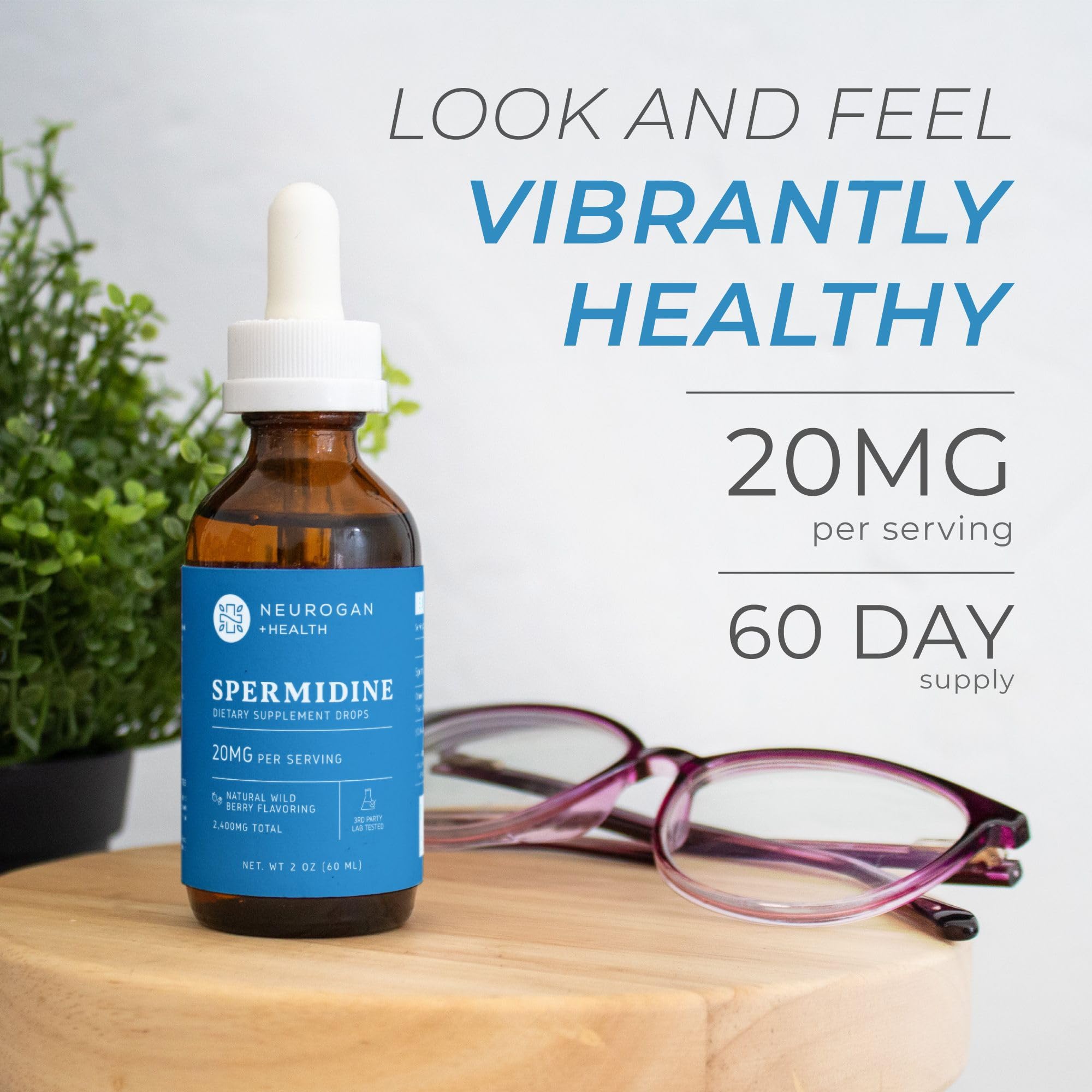 Spermidine supporting cellular health and renewal