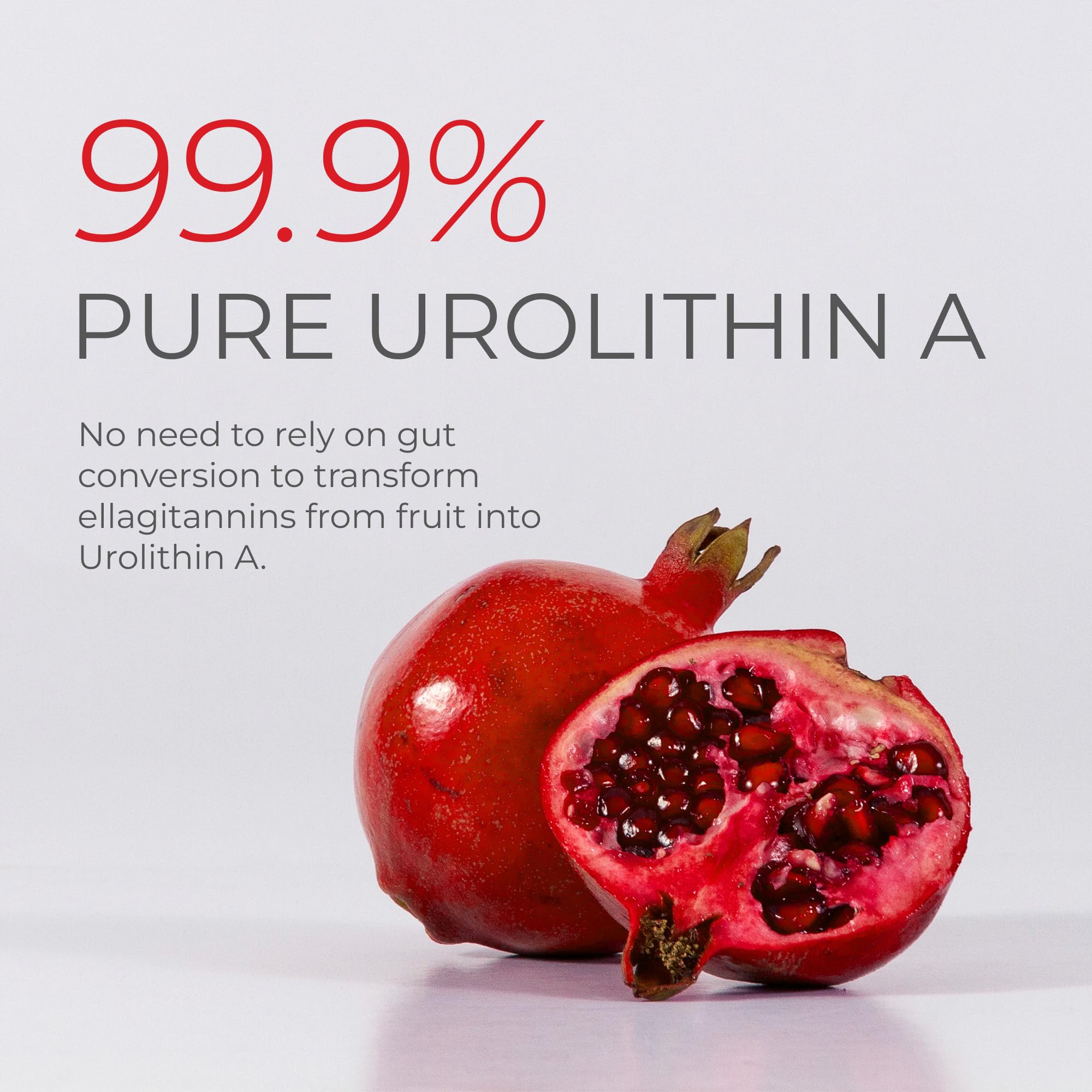 Ingredients and purity of Neurogan Urolithin A PRO