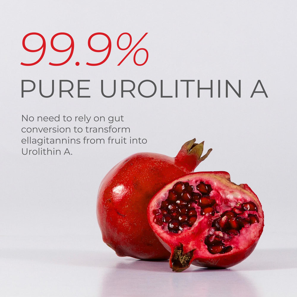Ingredients and purity of Neurogan Urolithin A PRO