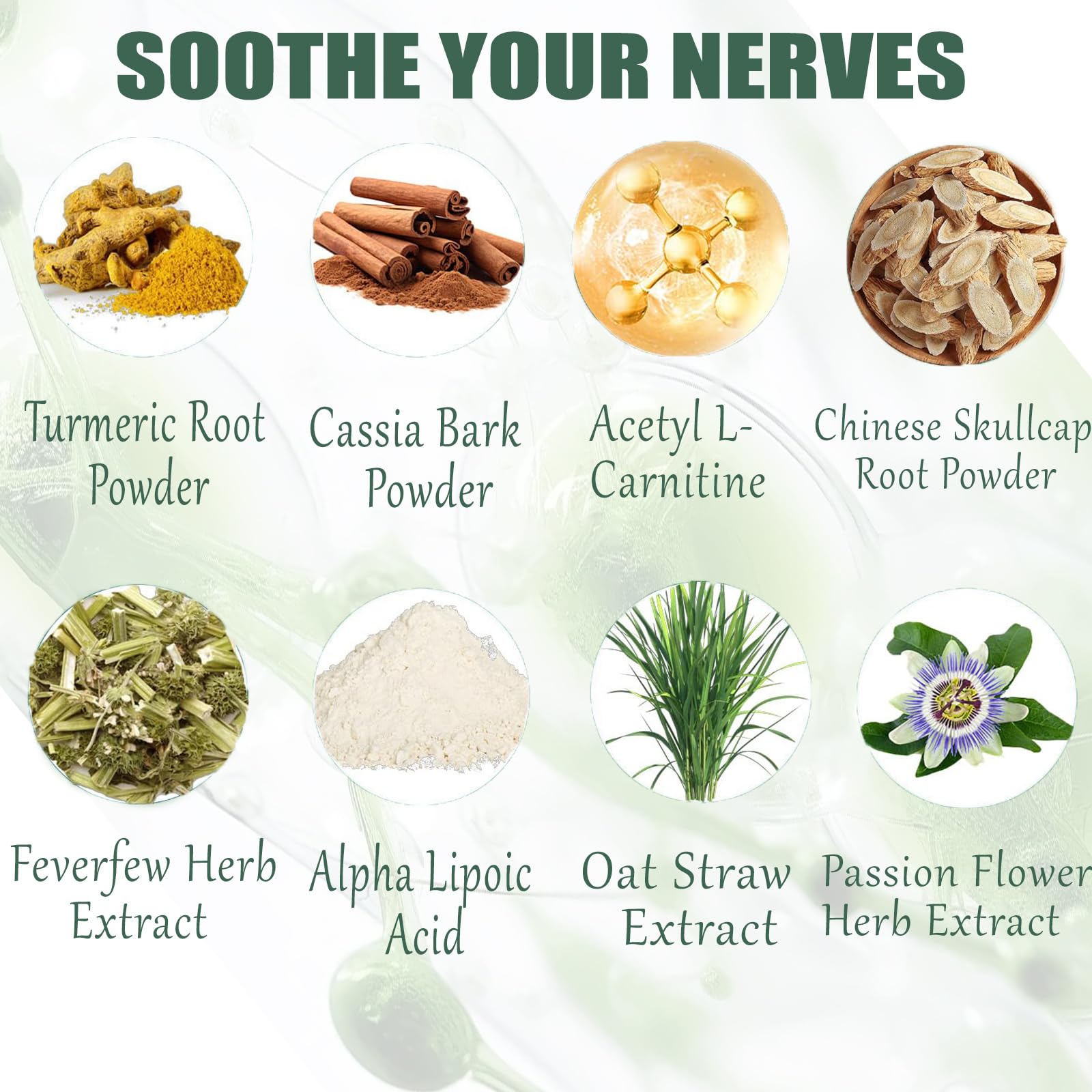 Graphic highlighting B vitamins and Alpha Lipoic Acid ingredients