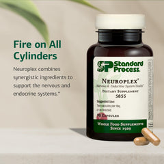Illustration showing Neuroplex supports nervous and endocrine systems