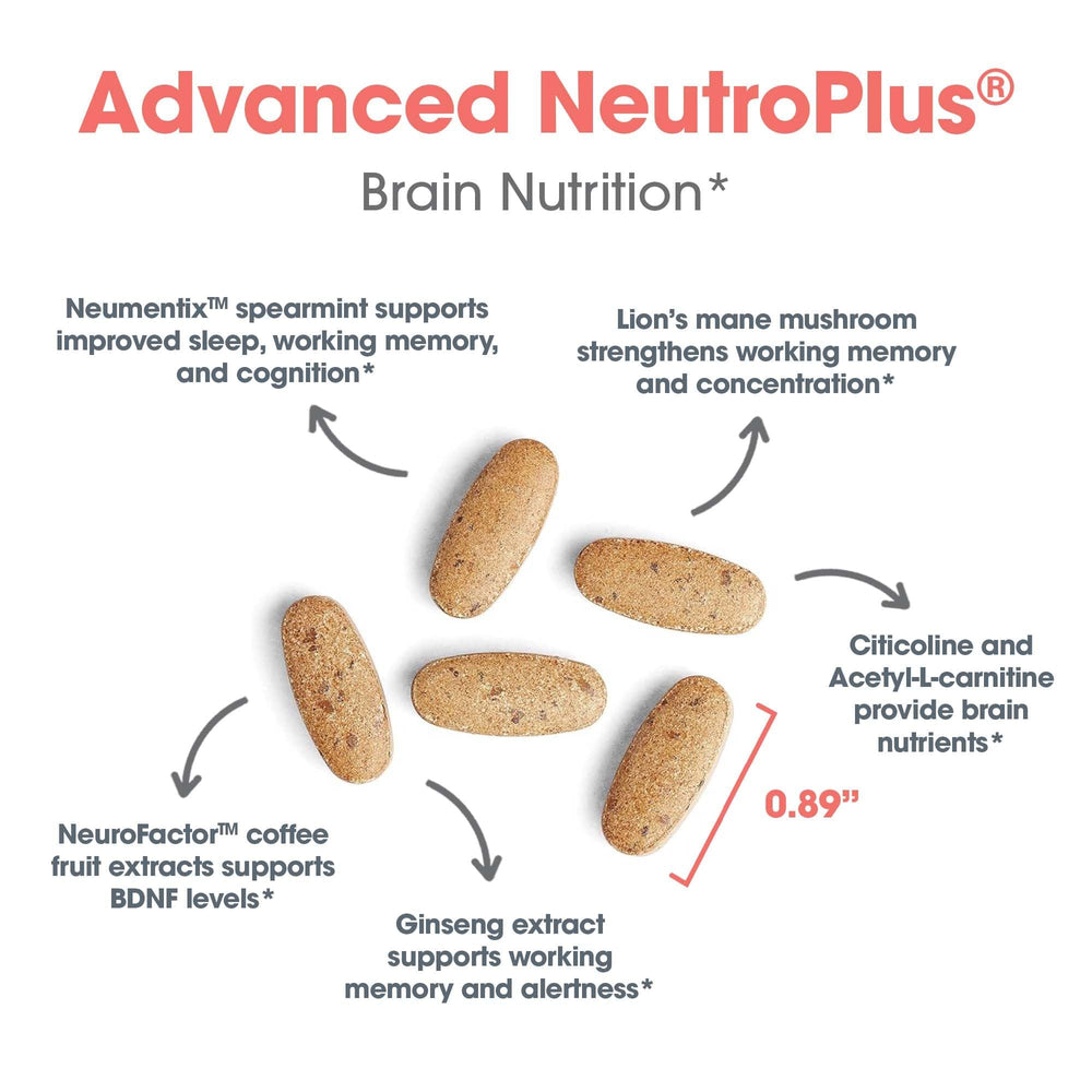 Standardized American ginseng extract in NeuroPlus