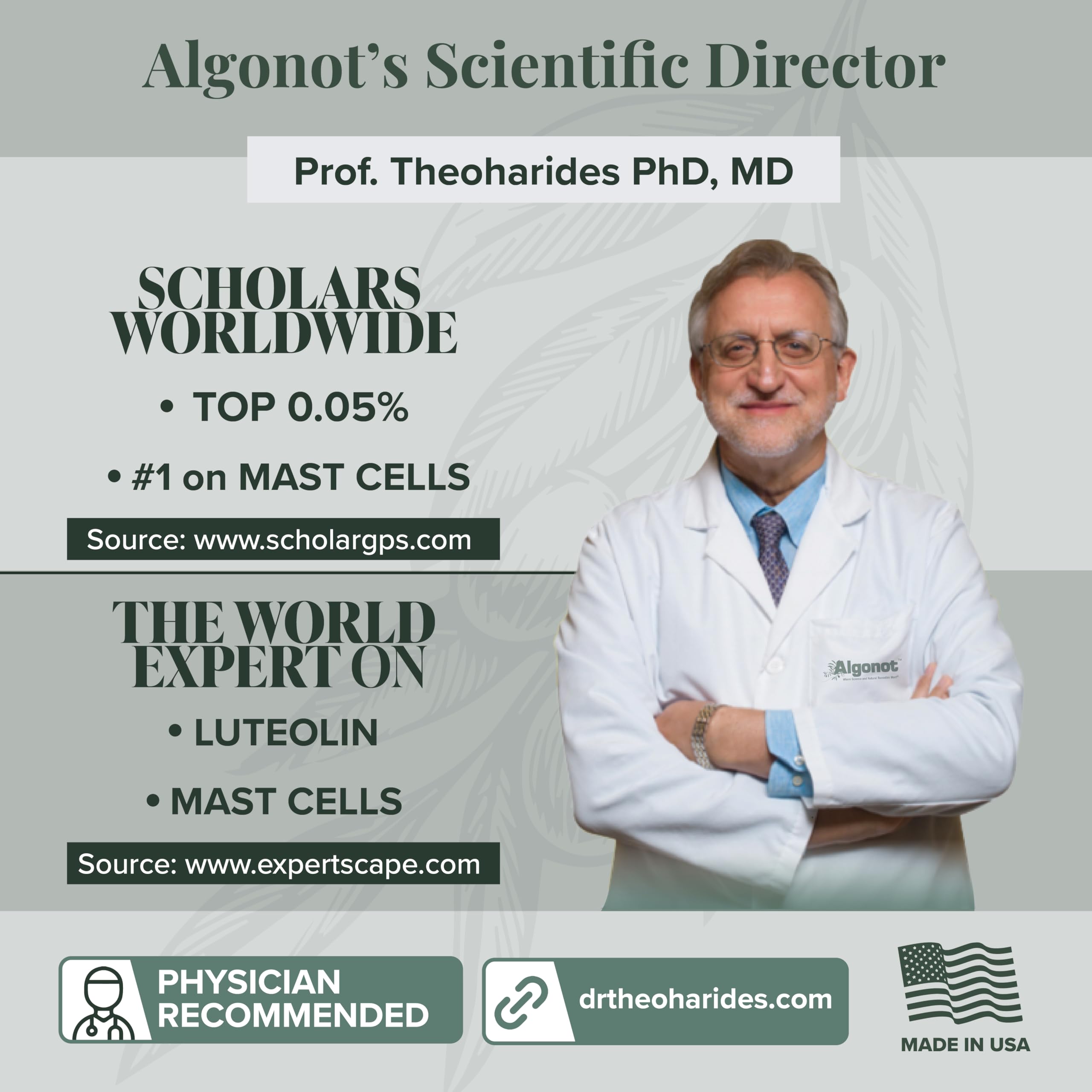 Enhanced absorption of flavonoids in NeuroProtek formula